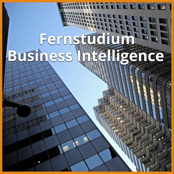 Fernstudium Business Intelligence (Bachelor & Master): Ratgeber & die besten Fernunis 1