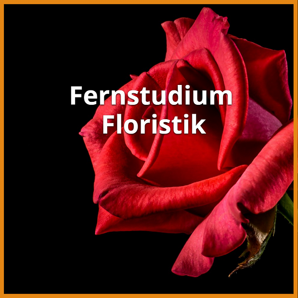 Fernstudium Floristik (Bachelor & Master): Ratgeber & die besten Fernunis 1