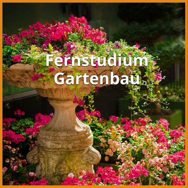 Fernstudium Gartenbau (Bachelor & Master): Ratgeber & die besten Fernunis 1