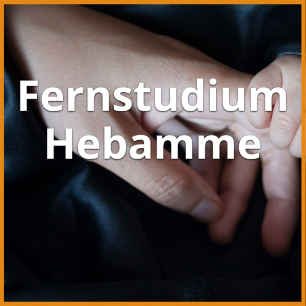 Fernstudium Hebamme (Bachelor & Master): Ratgeber & Fernunis 1