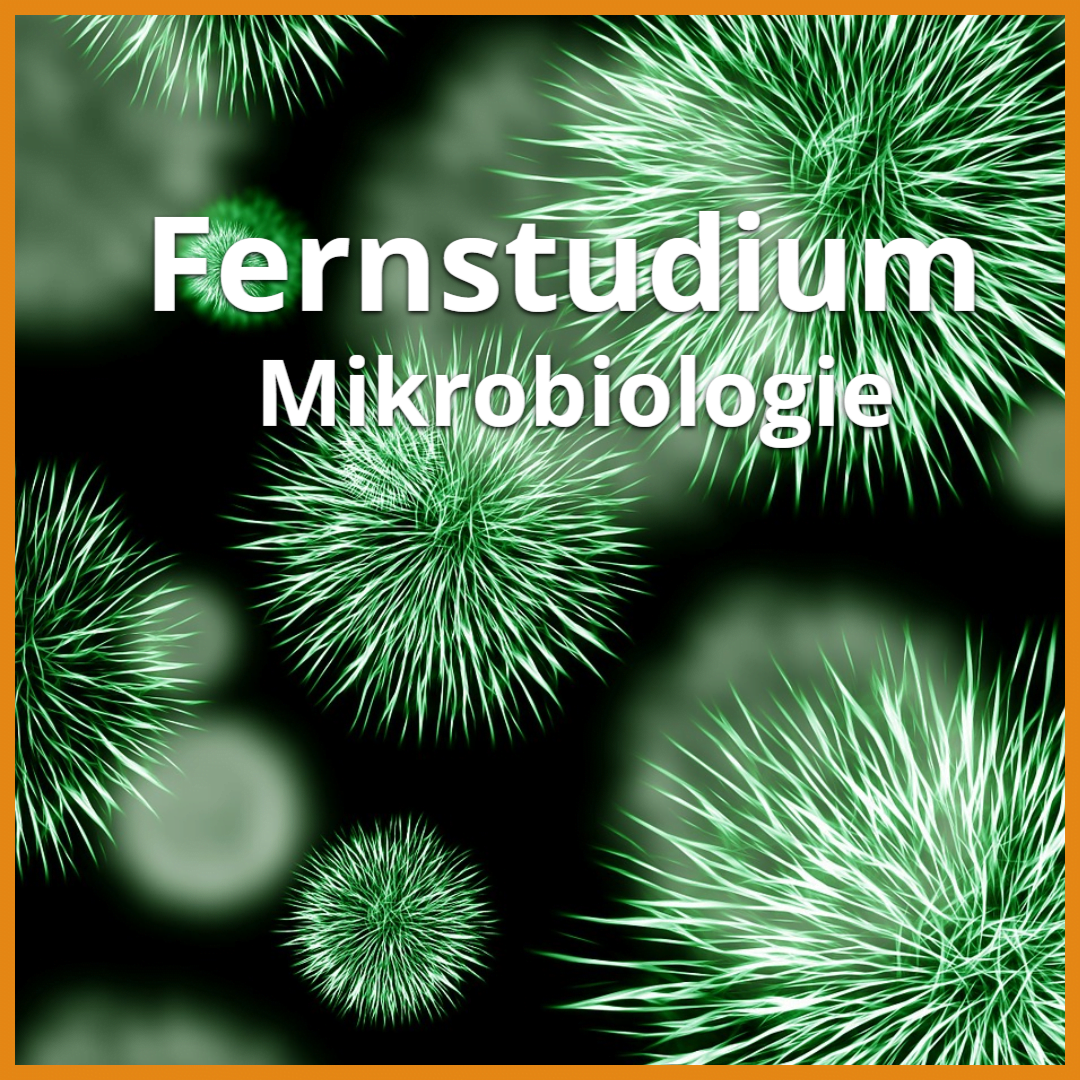 fernstudium mikrobiologie beitragsbild