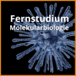 fernstudium molekularbiologie beitragsbild