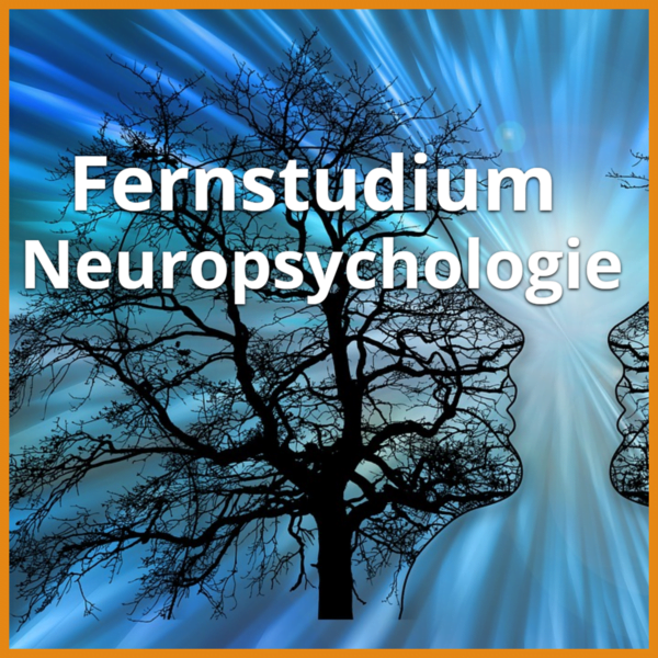 fernstudium neuropsychologie kann man neuropsychologie per fernstudium studieren