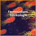 fernstudium toxikologie beitragsbild