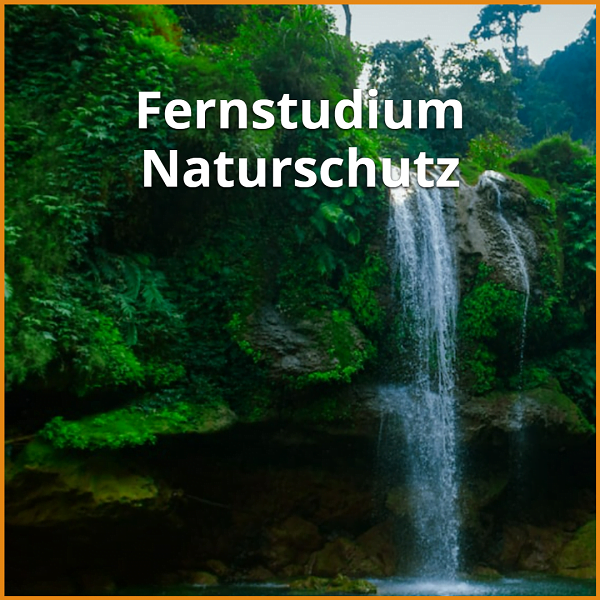 Fernstudium Naturschutz (Bachelor & Master): Ratgeber & die besten Fernunis 1