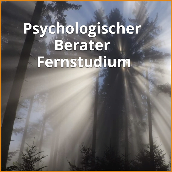 Psychologischer Berater Fernstudium (Bachelor & Master): Ratgeber & die besten Fernunis 1