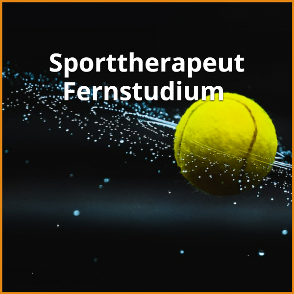Sporttherapeut Fernstudium (Bachelor & Master): Ratgeber & die besten Fernunis 1