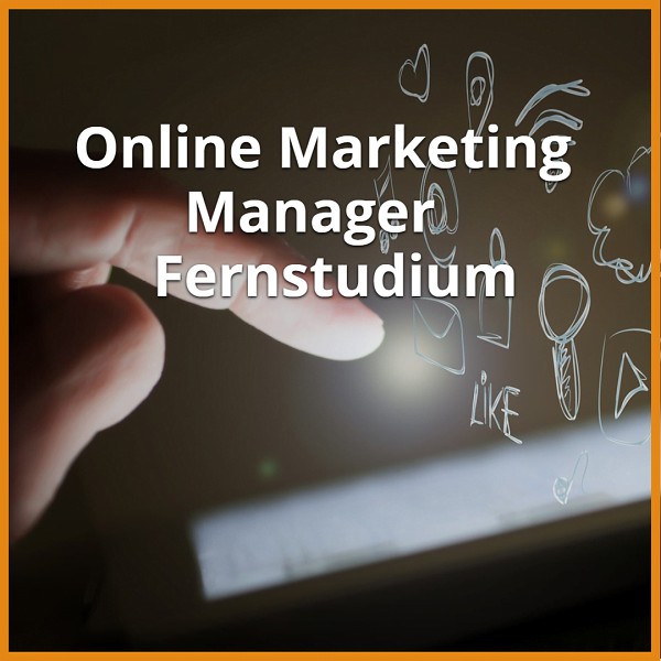 Online Marketing Manager Fernstudium (Bachelor & Master): Ratgeber & die besten Fernunis 1