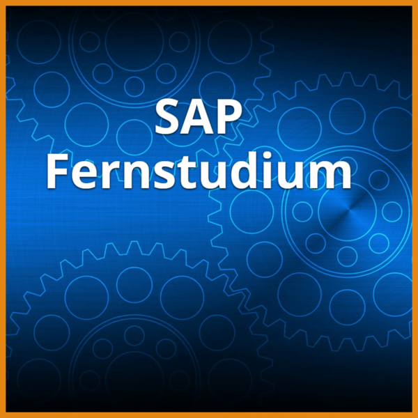 SAP Fernstudium (Bachelor & Master): Ratgeber & Fernunis 1